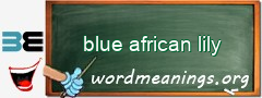 WordMeaning blackboard for blue african lily